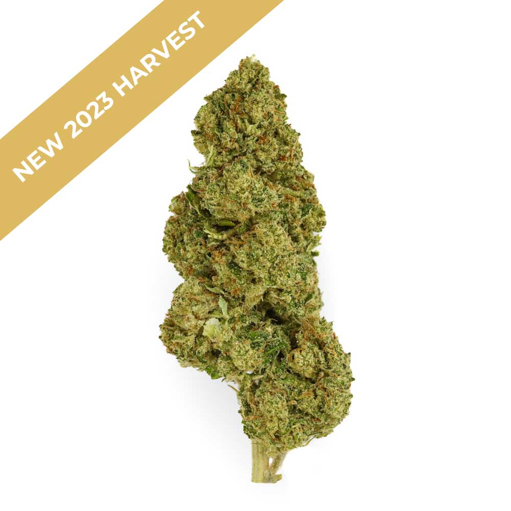 Runtz CBD Flower