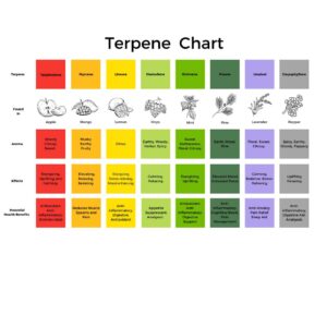 Terpene Chart